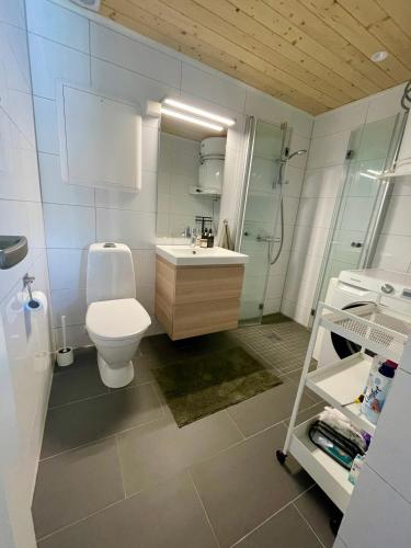 a bathroom with a toilet and a sink and a mirror at Hytte sentralt i Myrkdalen in Vossevangen