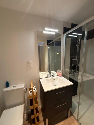a bathroom with a sink and a toilet and a shower at Studio Roanne 10 min gare in Roanne
