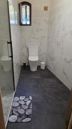 une salle de bain avec toilettes et douche en verre dans l'établissement Villa Propriano vue mer, à Viggianello