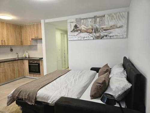Studio apartman Sabi