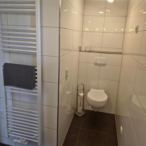 a small bathroom with a toilet and a shower at Fischstuebchen Neeberg in Krummin