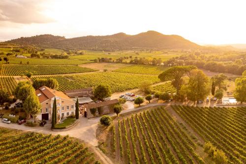 Gîte Lavande au milieu des vignes - Chateau les Apiès