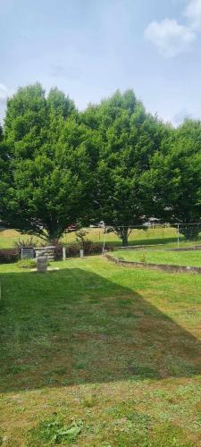 a group of trees in a field with a park at Maison RoMa, se ressourcer proche de Gerardmer et La Bresse in Vagney