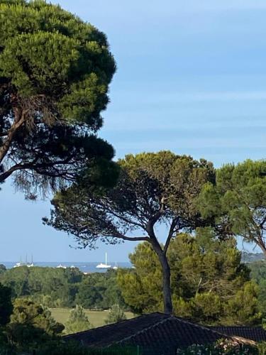 un arbre au sommet d'une maison avec des arbres dans l'établissement Chalet Californien rénové, superbe piscine dans la résidence, central, ST Tropez 7km!, à Gassin