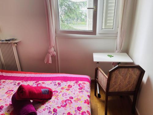 une chambre avec un lit, une table et une fenêtre dans l'établissement Chambre privée - Place Verdun Tours, à Tours