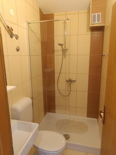 a bathroom with a shower with a toilet and a sink at Beach apartments Promajna in Promajna