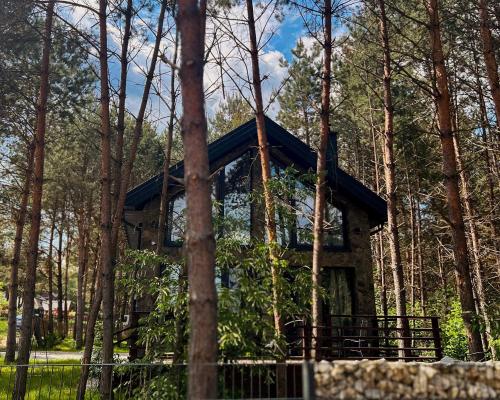 WILLA LABA CHAŃCZA nad jeziorem, domek w lesie z opcją balii, jacuzzi do 10 osób