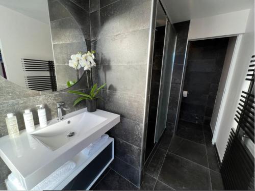 une salle de bain avec un lavabo et une douche dans l'établissement Maison Hyper Centre d'Arras - 3 chambres parentales, à Arras