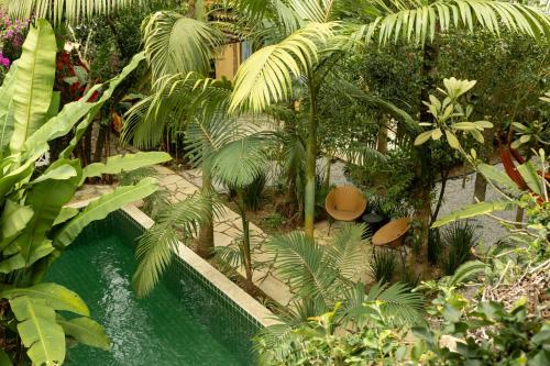 a tropical garden with a pool of water and palm trees at O Portalzinho in Paraty
