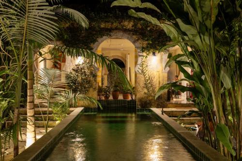 an indoor pool in a building with plants at O Portalzinho in Paraty