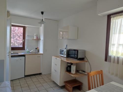 une cuisine avec un comptoir avec un micro-ondes dessus dans l'établissement Cosy Studio - Annecy, à Annecy