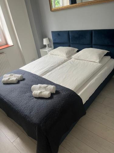 Postel nebo postele na pokoji v ubytování Apartament Rubin klimatyczny apartament w samym centrum Bielska