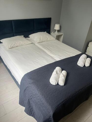 Postel nebo postele na pokoji v ubytování Apartament Rubin klimatyczny apartament w samym centrum Bielska