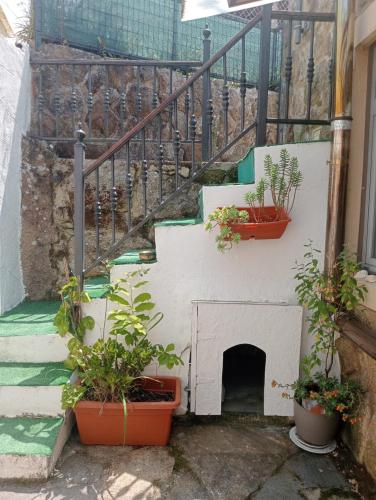 a stairway with potted plants next to a staircase at La Casita in Cangas de Morrazo