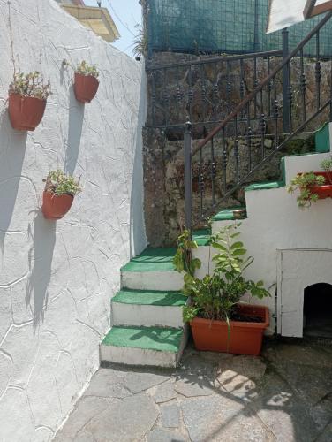 a staircase with potted plants on the side of a building at La Casita in Cangas de Morrazo