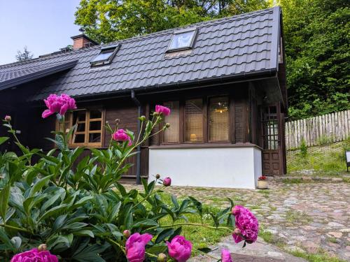 Marychost- dom do wynajęcia