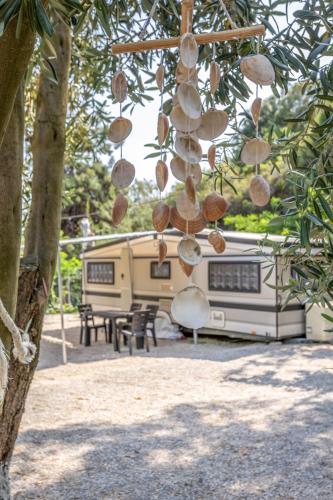 Sarakina Caravans by the sea