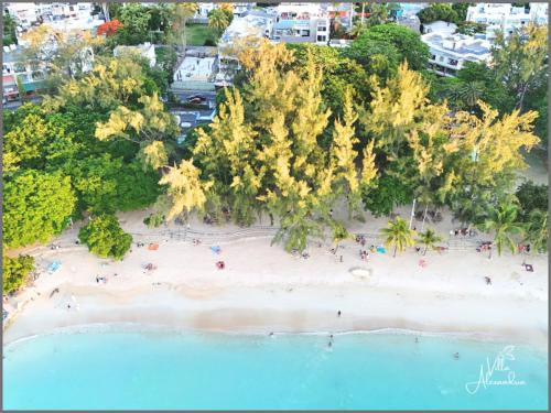 Villa Alexandria - Pereybere