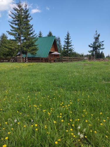 a green field with a barn in the background with flowers at Holiday chalet Asterix in Žabljak