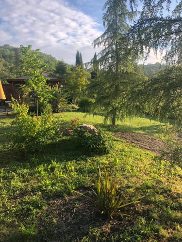 a garden with trees and plants in a field at Il Borghetto di Carra in Talla