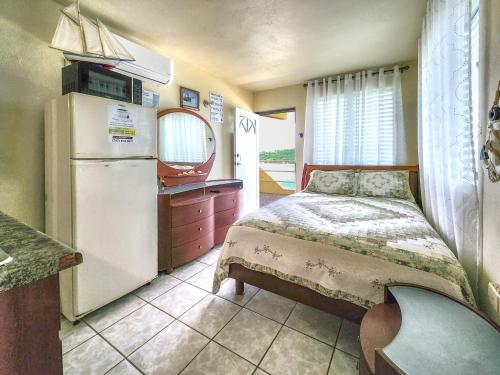 Kuchyň nebo kuchyňský kout v ubytování Casa Robinson Guest House