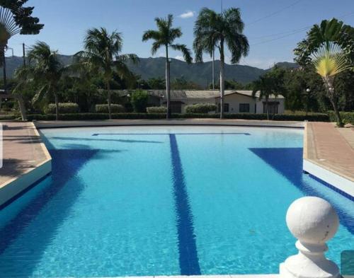 a large blue swimming pool with palm trees and mountains at Casa con Piscina Privada y Jacuzzi in Flandes