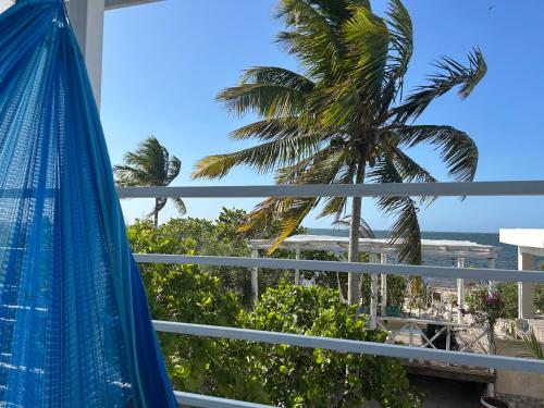 a view from the balcony of a resort with a palm tree at Casa Arsha Beachfront Bed & Breakfast in Dzidzantún