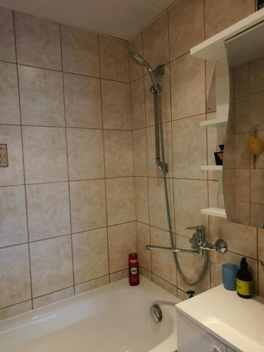 a bathroom with a shower and a bath tub at Seebi-apartment in Tallinn