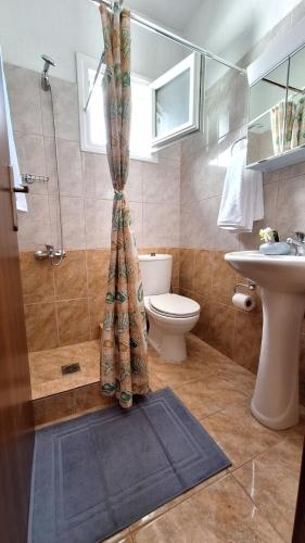 a bathroom with a shower and a toilet and a sink at Lemon tree House in Skala Marion