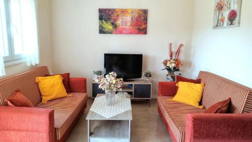 een woonkamer met twee rode banken en een tv bij Lemon tree House in Skala Marion