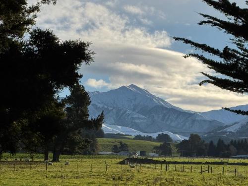 a field with a mountain in the background with trees at Bellbird Hideaway in Pleasant Valley