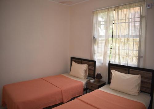 Villa Cherry photo 2