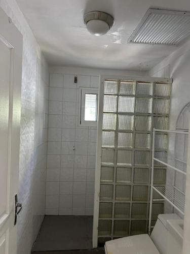 a bathroom with a walk in shower and a toilet at Appartement quartier Université in Cupecoy