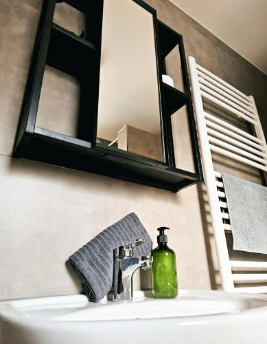 a bathroom sink with a soap dispenser and a mirror at Eibauer Apartments in Sinsheim
