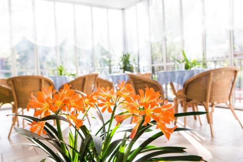 Gallery image of Hotel Majorca in Cesenatico