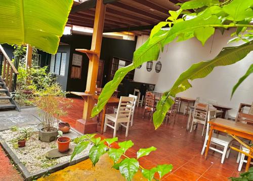 a dining room with a table and chairs and plants at Luz de Luna Escalante in San José