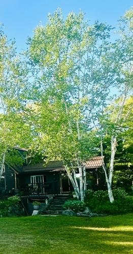 Taman di luar Getaway To Muskoka