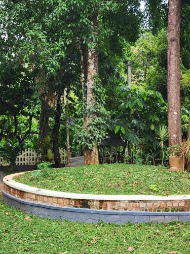 a park with trees and a circle in the grass at Luxury Villa Ps5 Home-Theater Hookah 20km 2 Munnar in Chillithodu