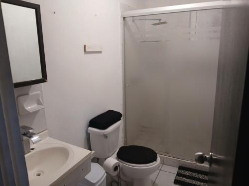 ein Badezimmer mit Toilette, Waschbecken und Dusche in der Unterkunft Departamento chico para tu estancia en ciudad juarez in Zaragoza
