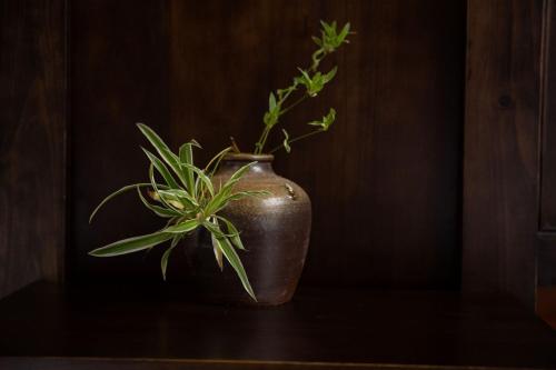 a vase with a plant in it sitting on a table at Amazing Ninh Binh Garden in Xuân Sơn