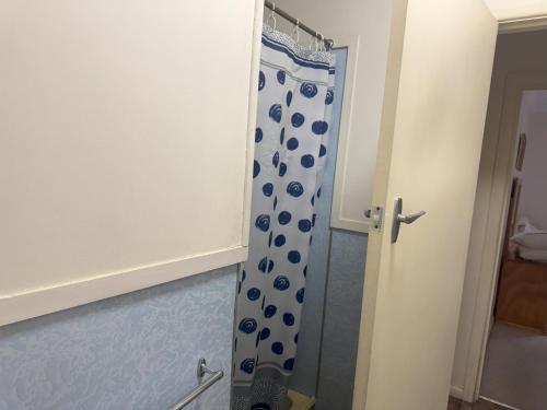 a bathroom with a shower with a blue shower curtain at Ovensview On Riverside in Bright