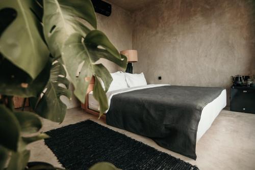 a bedroom with a bed with a black blanket and a plant at The Iggy Hotel Seseh Studio 2 in Cemagi