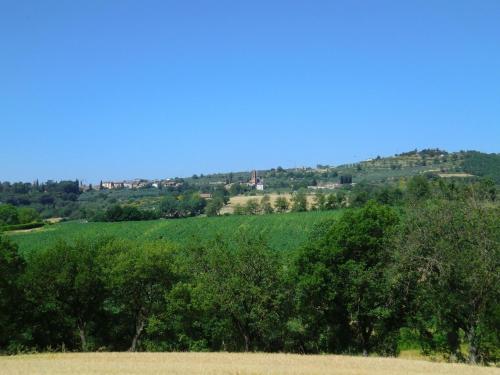 a green field with trees in the foreground at Modern Holiday Home in Pietrafitta Umbria with Garden in Pietrafitta