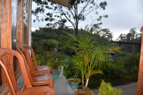 a row of chairs sitting on a porch with plants at Ansi Villa in Nanu Oya