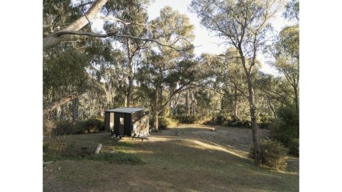 a small shack in the middle of a forest at Longmore Estate by Tiny Away in Daylesford