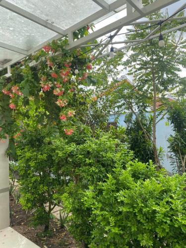 Κήπος έξω από το Lightly Homestay