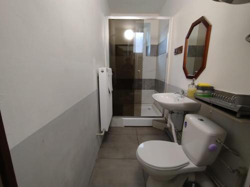 a bathroom with a toilet and a sink and a mirror at Za ohradami in Závažná Poruba