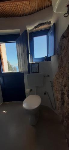 a bathroom with a white toilet and two windows at L'Olivuzza in Alicudi