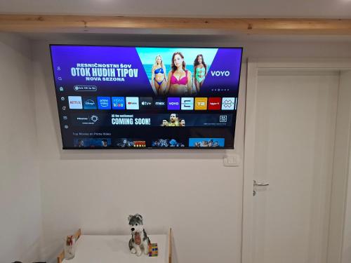 a flat screen tv hanging on a wall at Sun House Luka in Radmirje