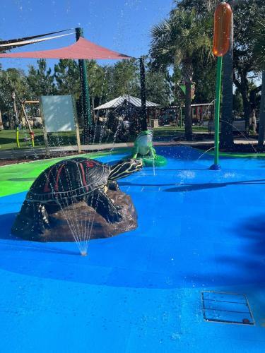 a water park with a turtle in the water at Cute 2 bedroom home, peaceful and so central ! in Palm Coast